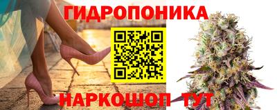 соль курить ск Ачхой-Мартан