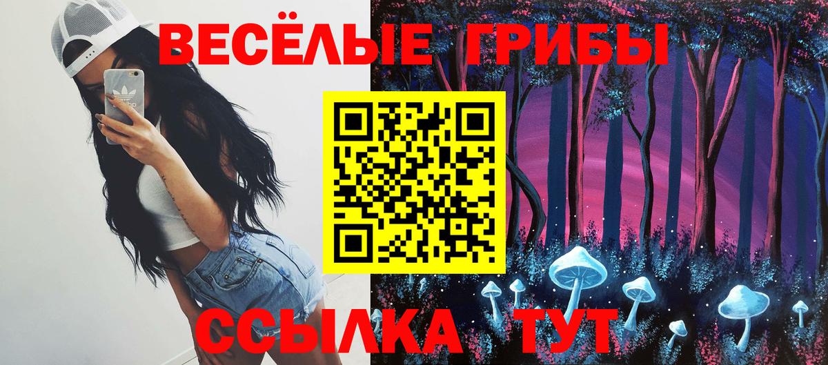 сколько стоит  Галлюциногенные грибы Psilocybine cubensis  Вход с VPN  Амурск 